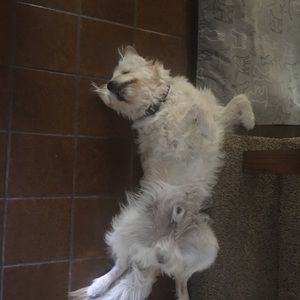 Meet your Posher, Erowyn